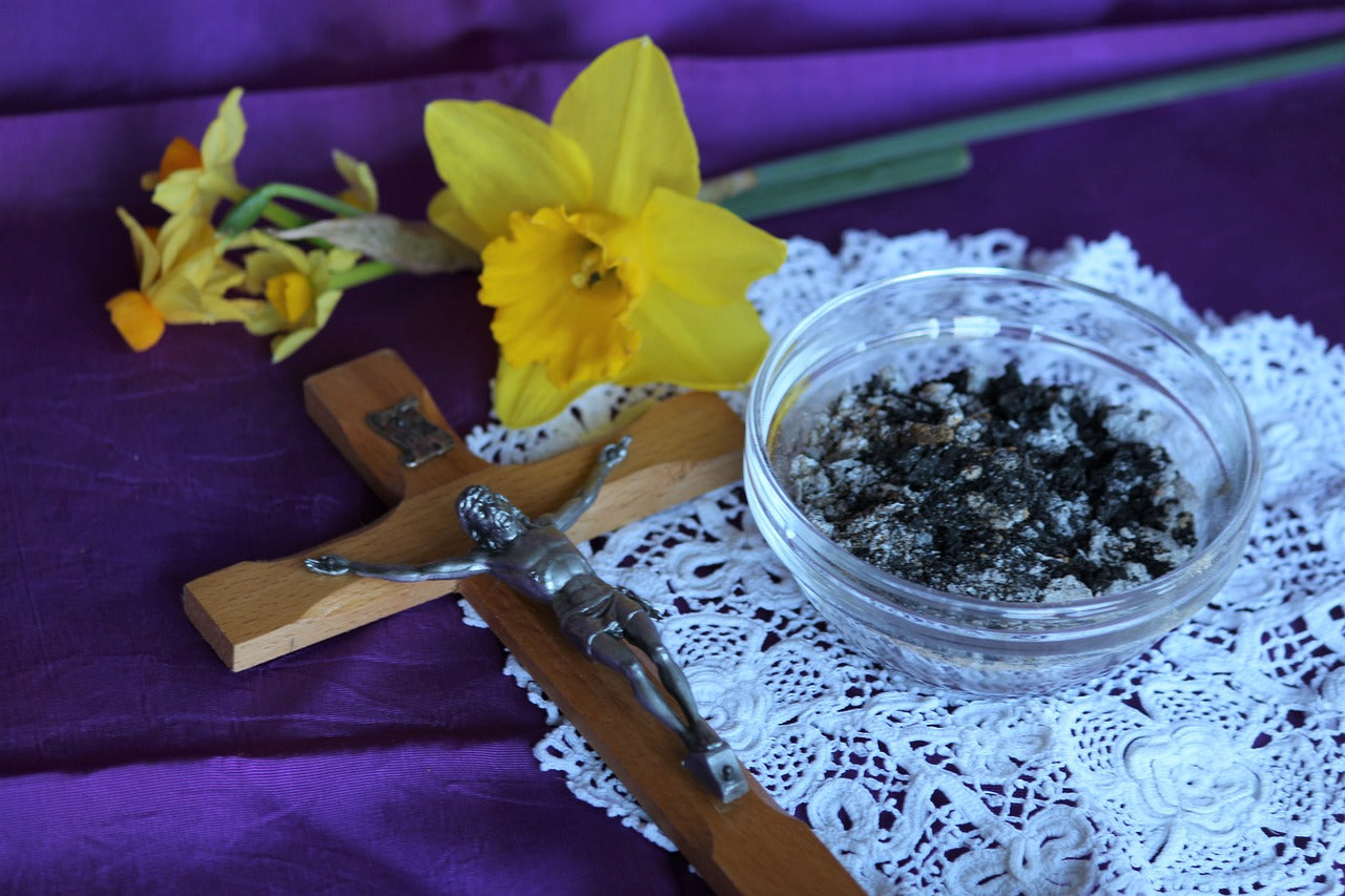 Reflecting on Ash Wednesday: A Day of Contemplation, Renewal, and Gratitude with Your Dog